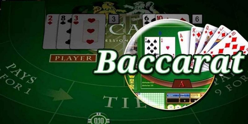 Cá cược Baccarat