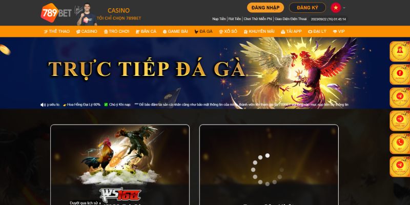 Tham gia trải nghiệm đá gà Casino vô cùng đơn giản